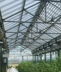 植物工廠可以分為半封閉式及完全封閉式兩種。半封閉式將自然光源導入,以期能降低成本;完全封閉式則在受控的環境下全程給予人工光源以達到最大的穩定生產量。 植物工廠可以分為半封閉式及完全封閉式兩種。半封閉式將自然光源導入,以期能降低成本;完全封閉式則在受控的環境下全程給予人工光源以達到最大的穩定生產量。